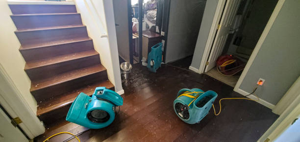  Wetumka, OK Water damage restoration Pros