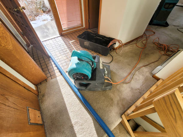 Best Mold removal after water damage  in Wetumka, OK