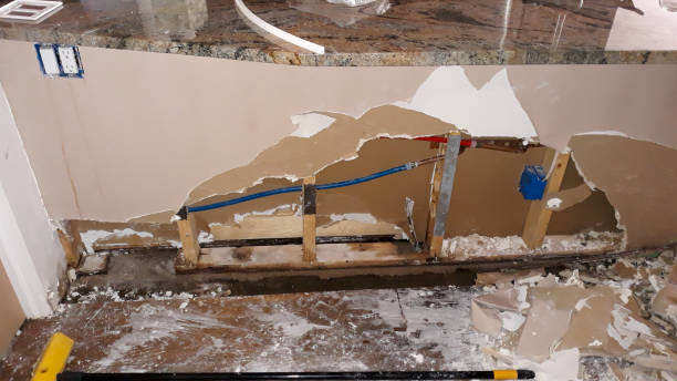 Best Local water damage restoration  in Wetumka, OK