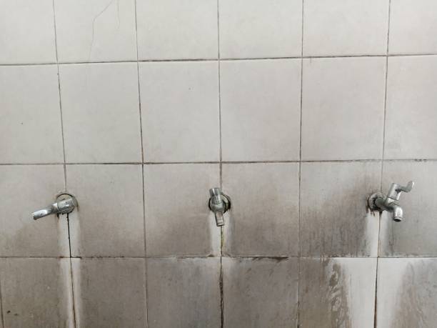 Best 24/7 water damage repair  in Wetumka, OK