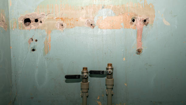 Best Water damage restoration near me  in Wetumka, OK