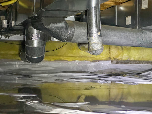 Best Water damage contractors near me  in Wetumka, OK