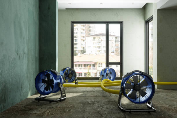 Reliable Wetumka, OK Water damage restoration Solutions