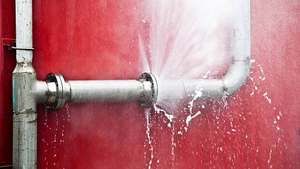 Best Carpet water damage restoration  in Wetumka, OK